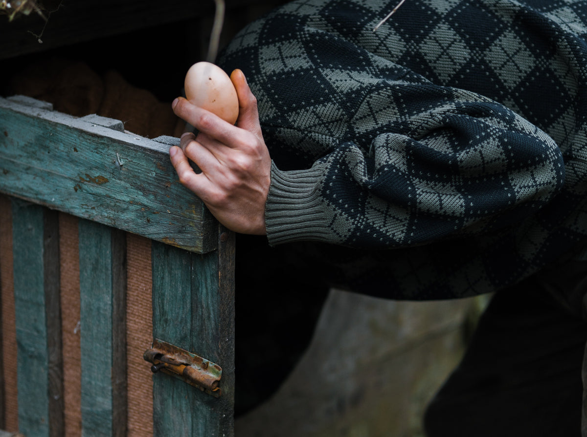 How To Collect, Clean & Store Your Eggs From Your Coop Coop Care