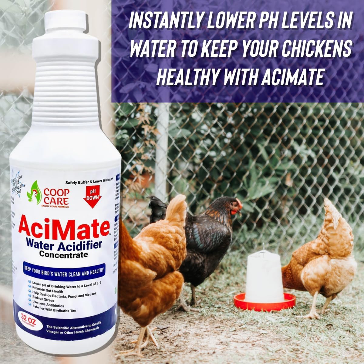 AciMate Water Acidifier Conc. w/ pH Test Strips – Optimize Water pH, No Algae Growth Waterers. 10x Stronger than Apple Cider Vinegar! Pleasant Taste