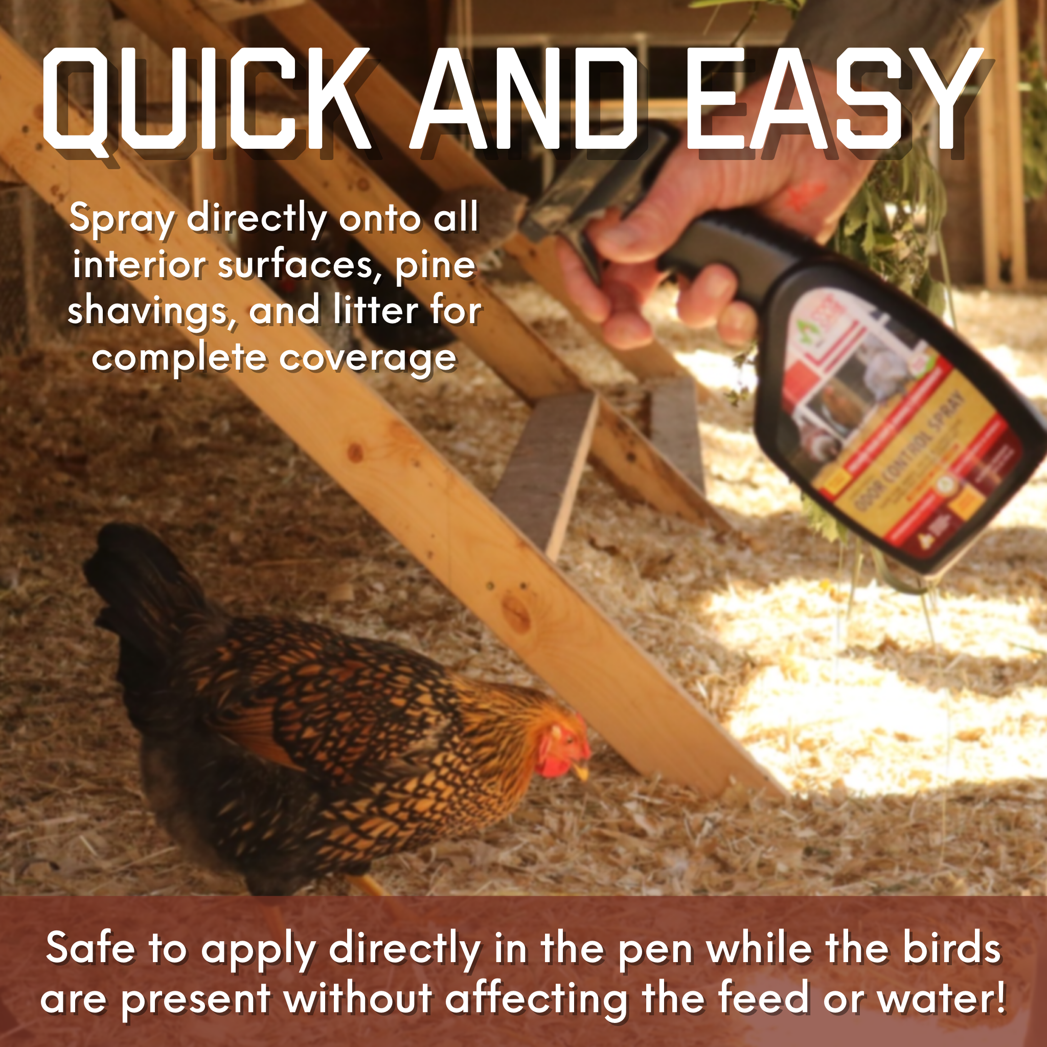 Chick Fresh - Eliminate Chicken Coop & Brooder Odor Concentrate (4 oz makes 1 Gallon of Spray!) *Includes FREE Gallon & 24 oz Application Spray Bottles