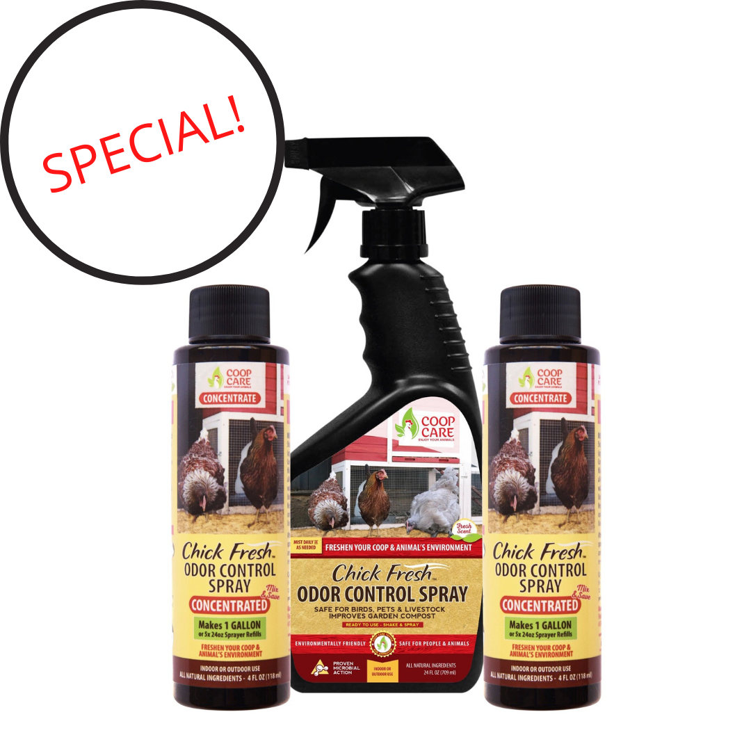 Chick Fresh Concentrate 50 off! Eliminate Chicken Coop Odor & Ammonia Coop Care