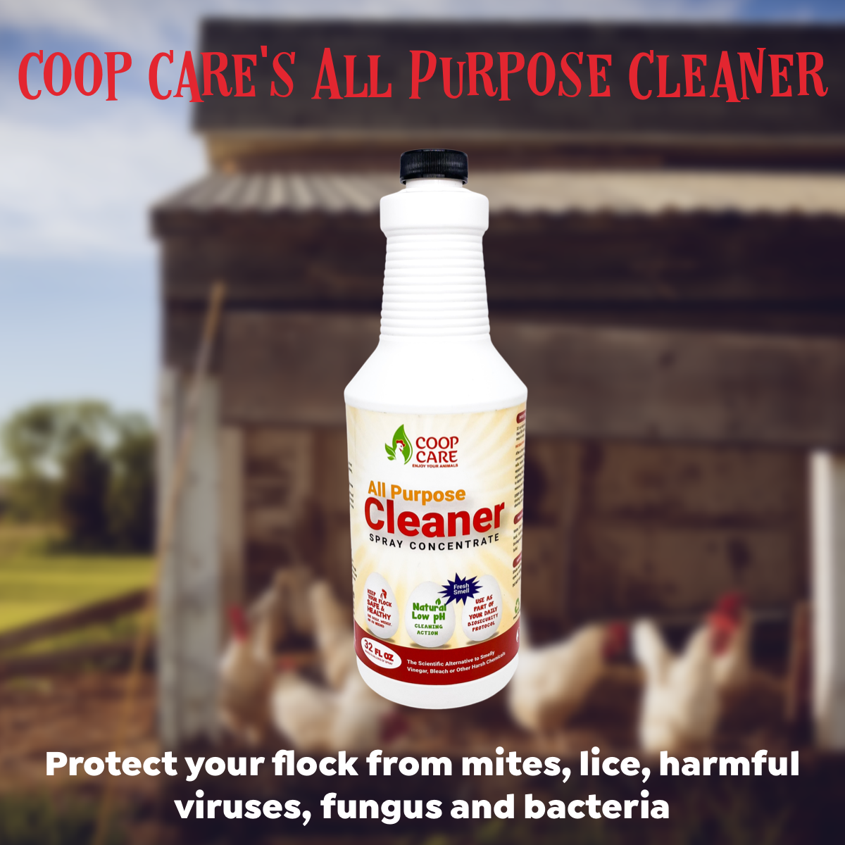 Coop Care All Purpose Cleaner 32oz Spray Concentrate - FREE Shipping!