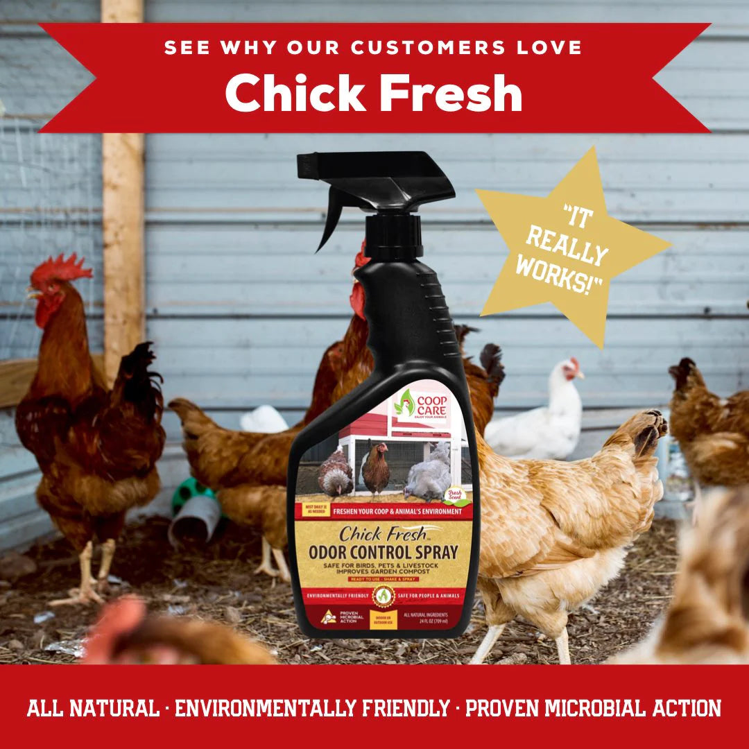 Chick Fresh - Eliminate Chicken Coop & Brooder Odor Concentrate (4 oz makes 1 Gallon of Spray!) *Includes FREE Gallon & 24 oz Application Spray Bottles