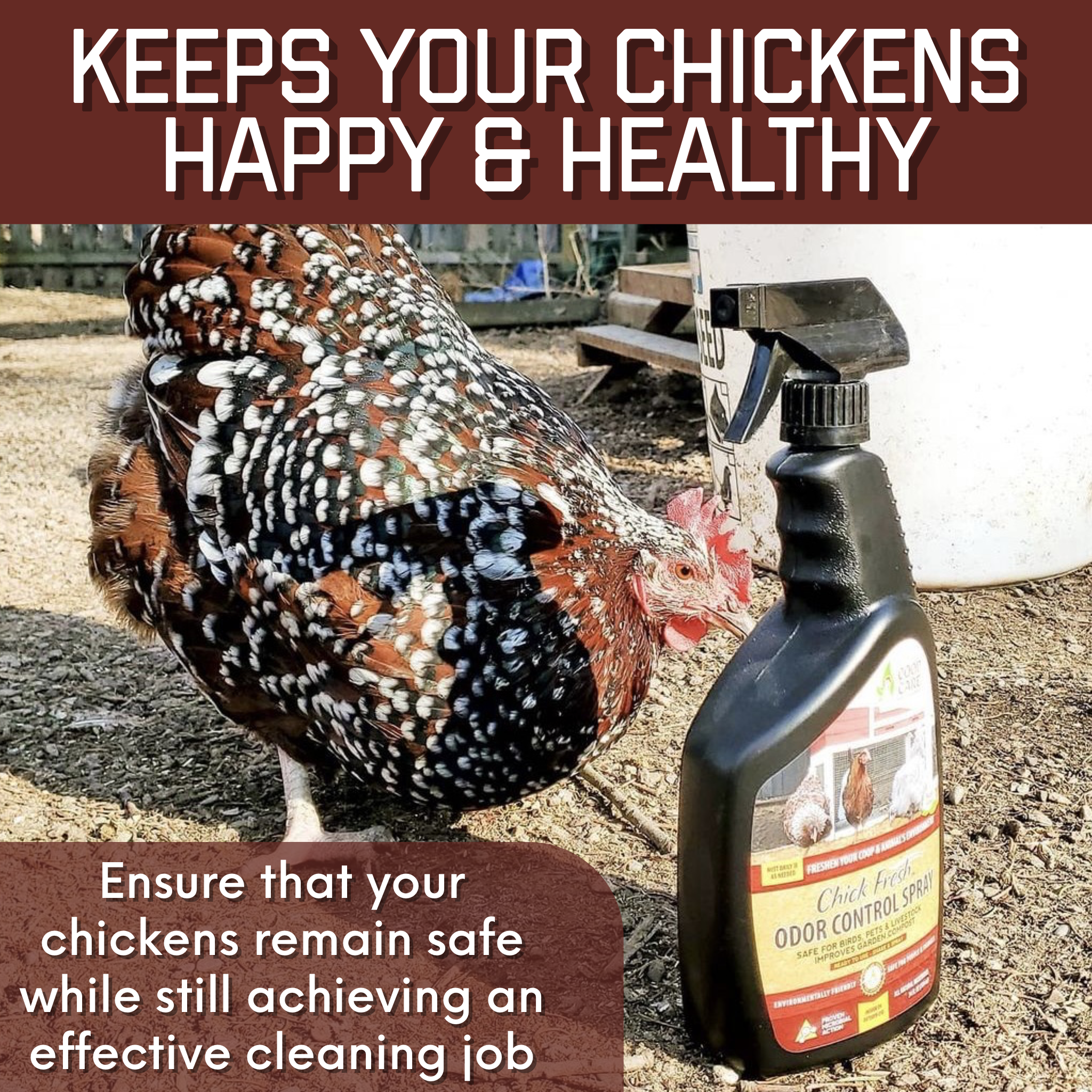 Chick Fresh Concentrate 50% off! Eliminate Chicken Coop Odor & Ammonia 2 Concentrates w/ FREE Sprayer. Fill 2 Gallons!