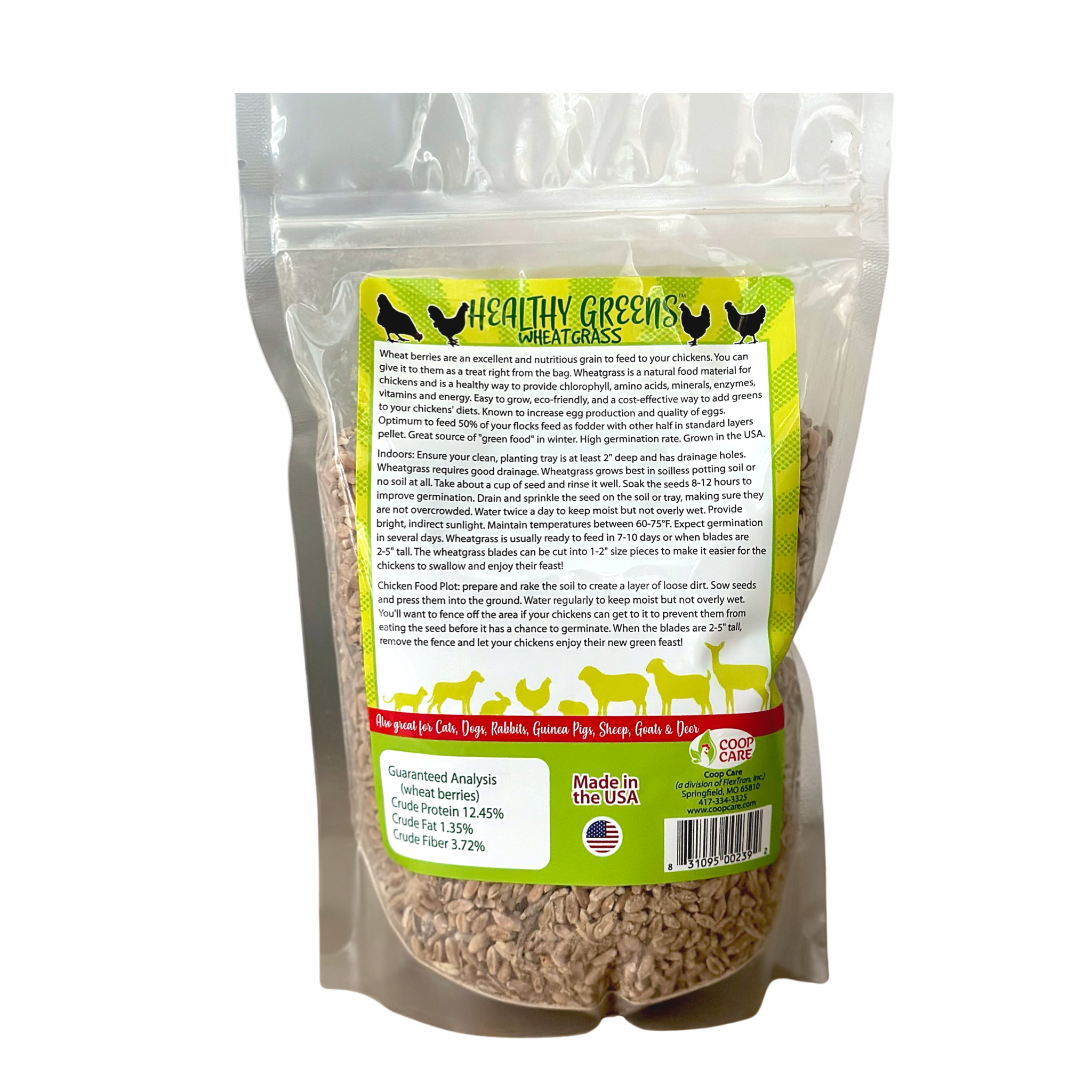 Healthy Greens Wheatgrass Scratch Feed & Fodder Seed, 1lb Bag. Premium Wheat Berries, Non-GMO Wheatgrass for Backyard Chickens, Plant Indoors/Outdoors. Also Ideal for Cats, Dogs w/Chick Fresh