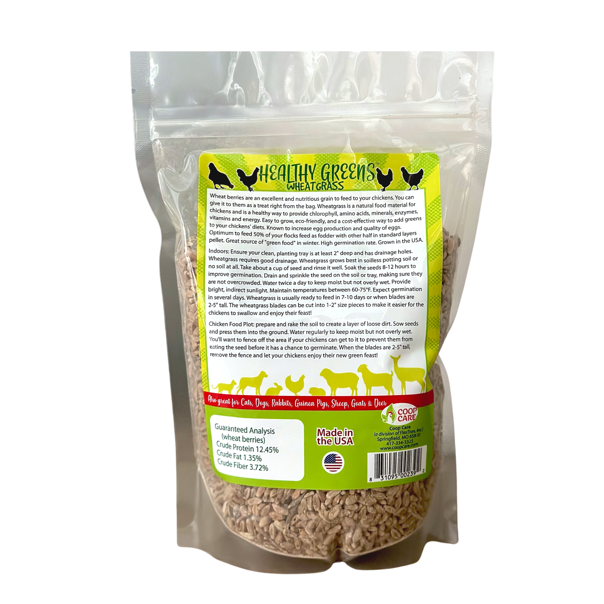 best grass seed to plant for chickens Healthy Greens Wheatgrass Scratch Feed & Fodder Seed, 1lb Bag. Premium – Coop Care