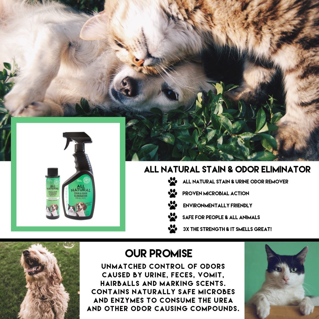 Stink Free All Natural Stain & Urine Odor Eliminator & Remover for Cat & Dog, Makes 1 Gallon of Solution, Microbial & Enzyme Based Pee Cleaner Destroyer for Carpets, Hardwoods, Tile & more!