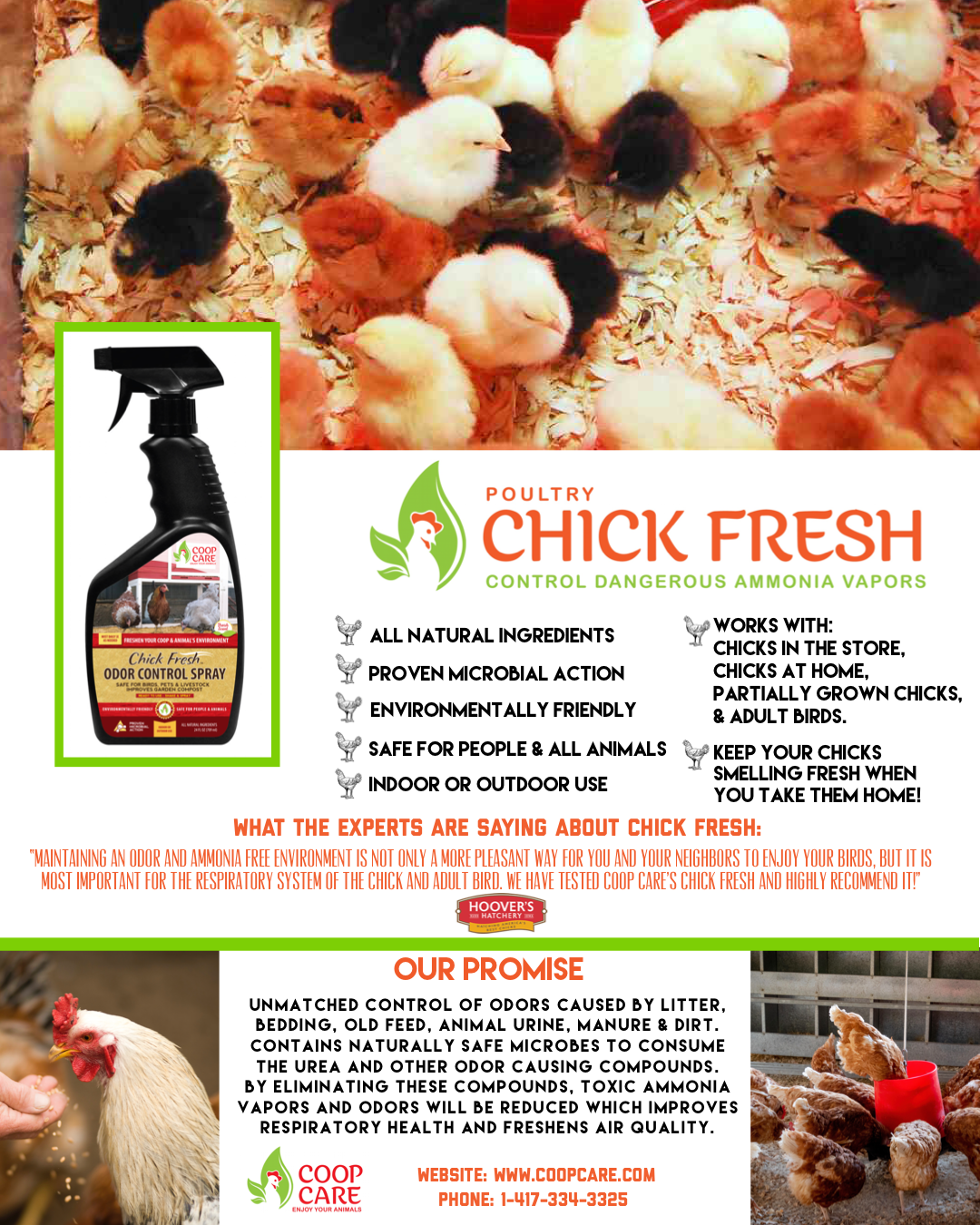 Absorbent Dust Bath for Backyard Chickens w/ FREE Chick Fresh 24 oz | Control and Eliminate odors