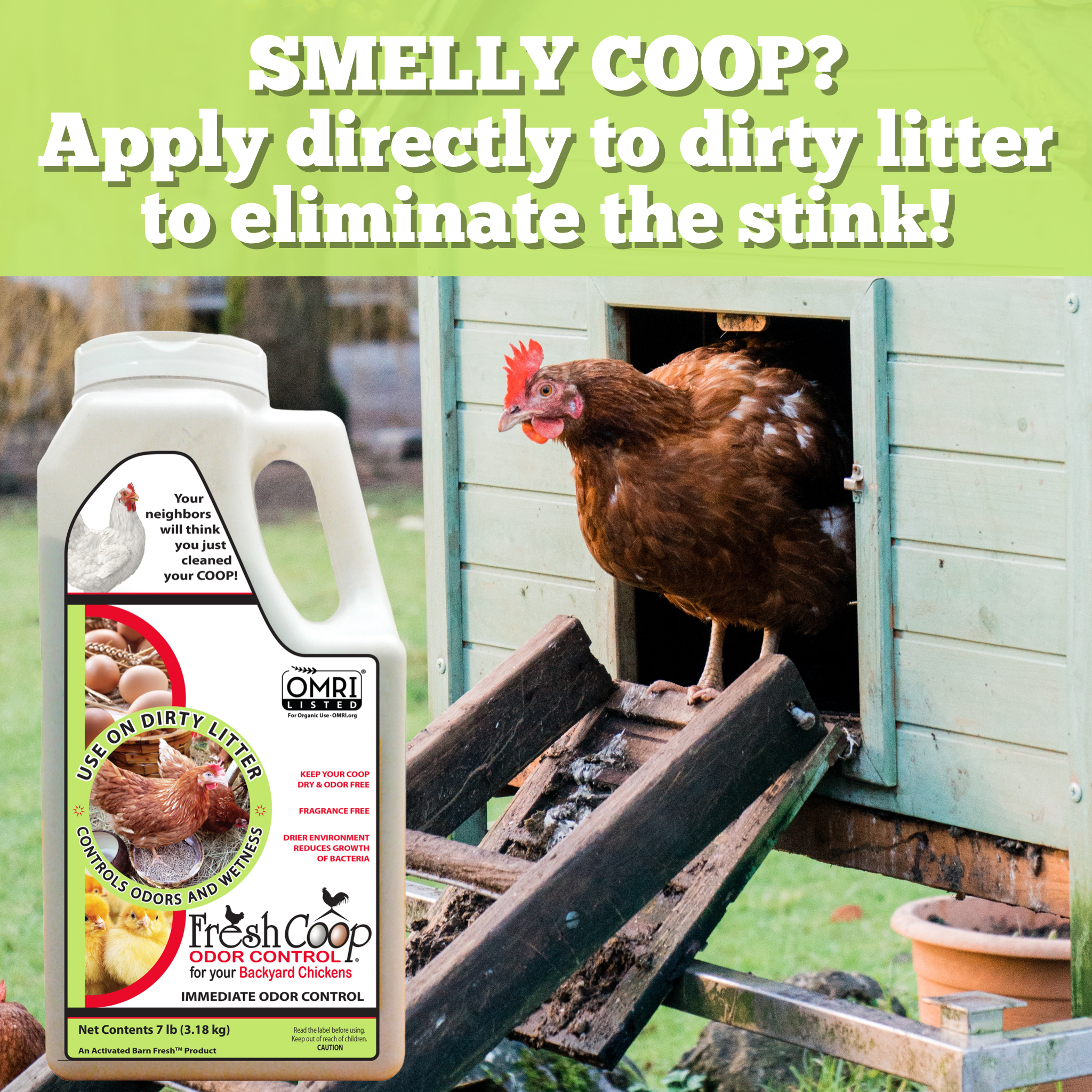 Fresh Coop Chicken Odor Control and Eliminator for Backyard Chickens. Control and Eliminate Ammonia in coop, brooder, chicken run, horse stall 7 lb (3.18kg) FREE Coop Cleaner