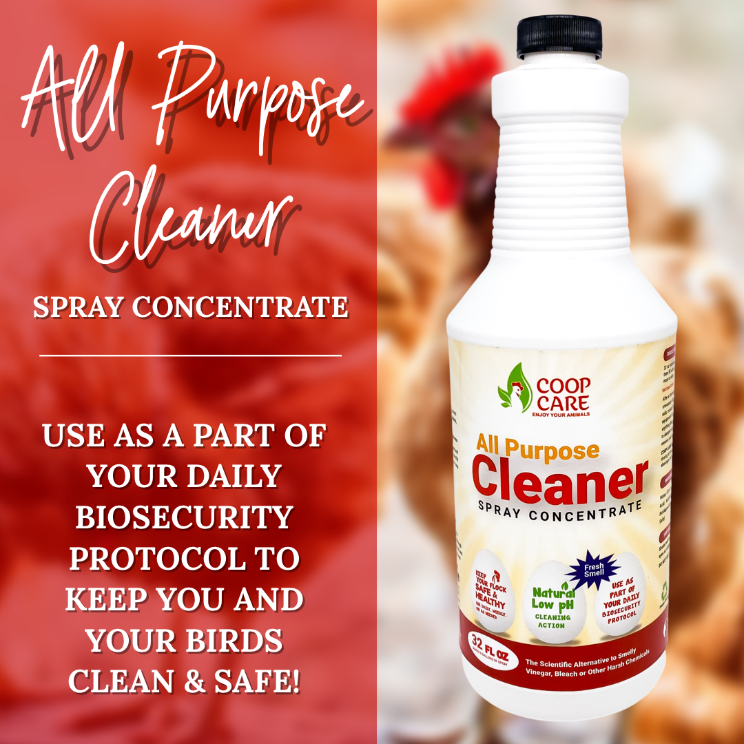 2 Bottles of Chick Fresh Concentrate, 24oz Chick Fresh Spray Bottle & 4oz Coop Cleaner