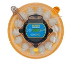 Maxi II EX fully automatic 14 egg incubator