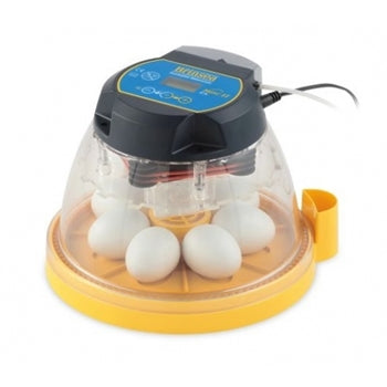 Mini II EX fully automatic 7 egg incubator